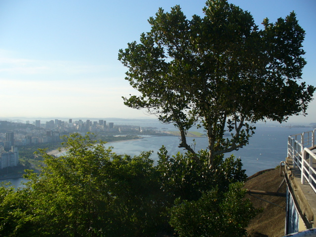 P1030294.JPG