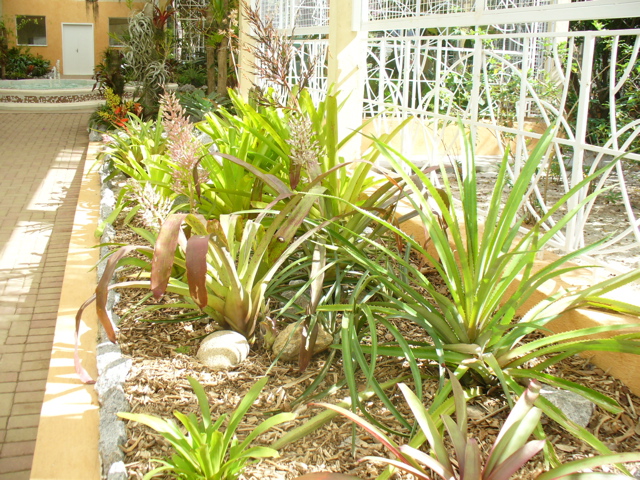 P1030255.JPG