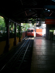 P1030381.JPG