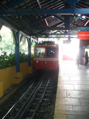 P1030382.JPG