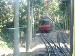 P1030383.JPG