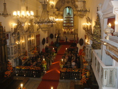 P1030424.JPG