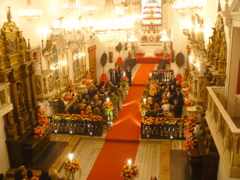 P1030427.JPG