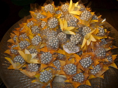 P1030476.JPG